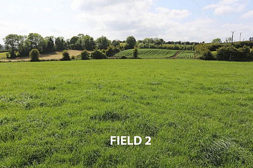 55 Craignageeragh Road