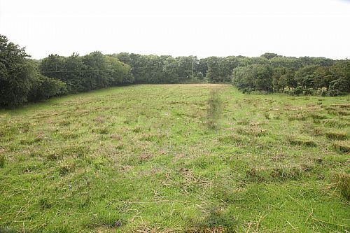 Adj. 156  Finvoy Road