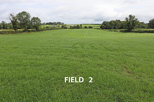 Killeague Road, Macosquin, Coleraine, BT51 4HH