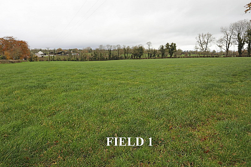 Adj. 38 Crevolea Road, Aghadowey, Coleraine, BT51 4ES