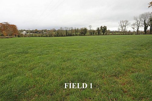 Adj. 38 Crevolea Road