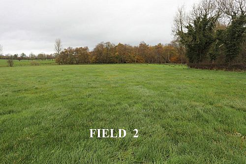 Adj. 38 Crevolea Road