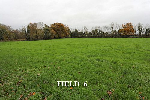 Adj. 38 Crevolea Road