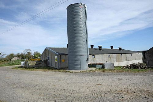 29 Carrick Avenue