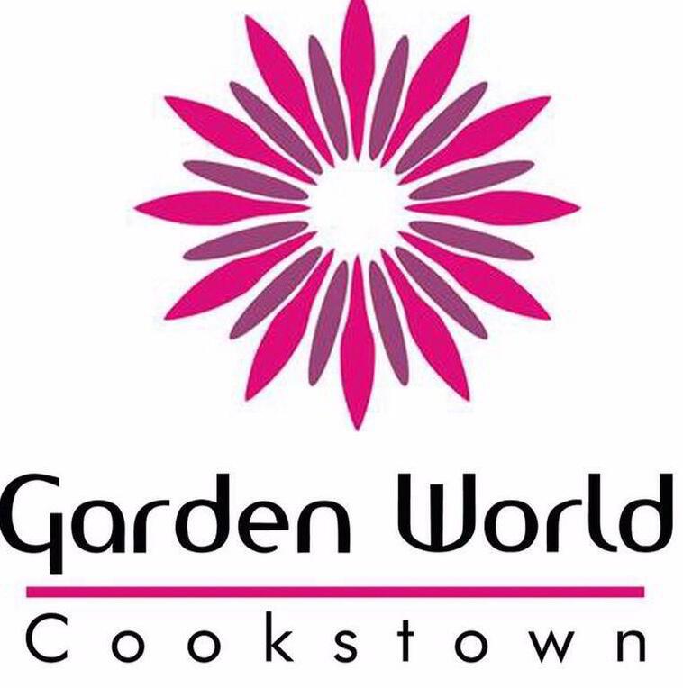 The Complex, Killycolp Road