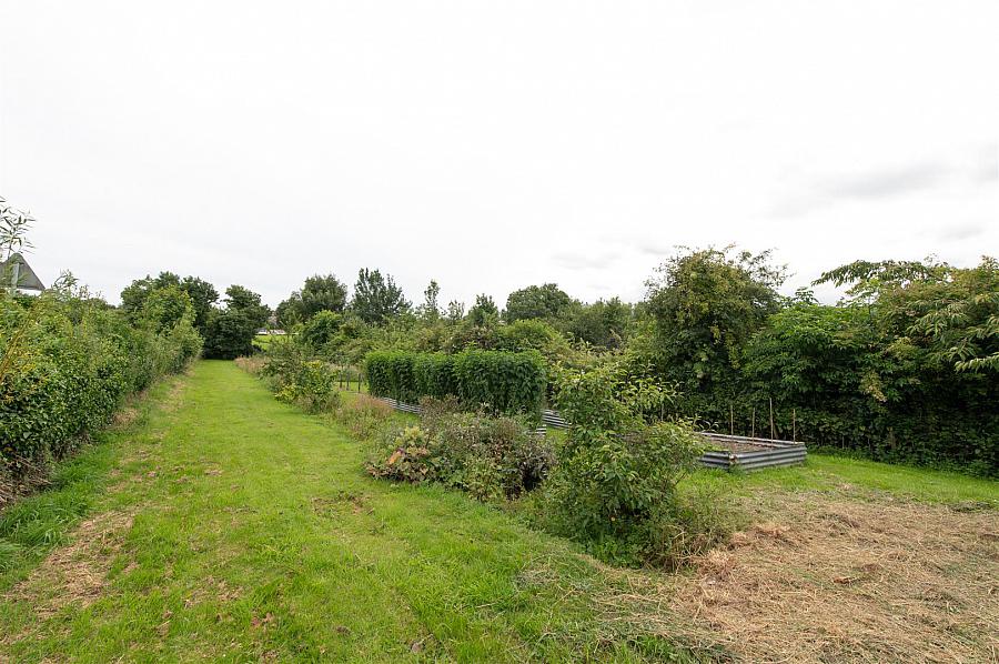 54 Comber Road