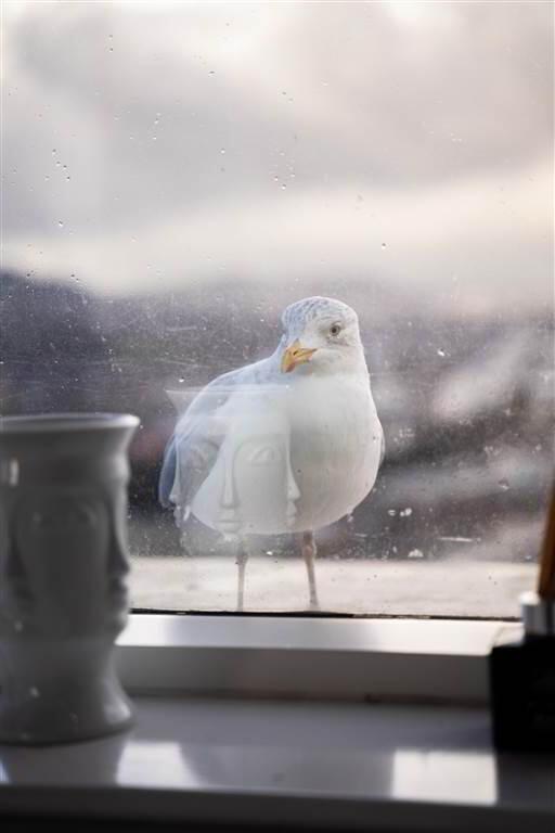 Obel Tower Obel Tower, 2509, 62 Donegall Quay