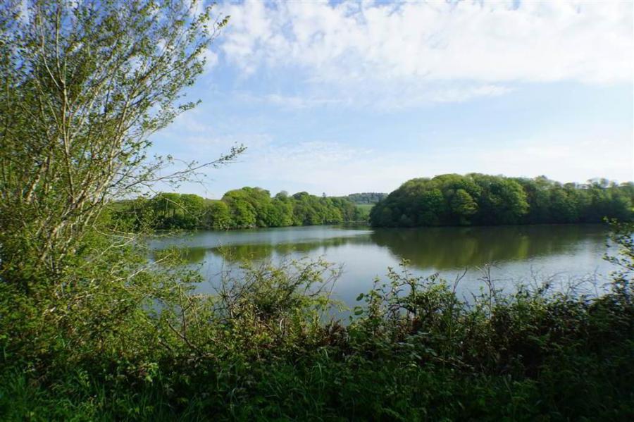 Ballinacurra House, Ballincurra