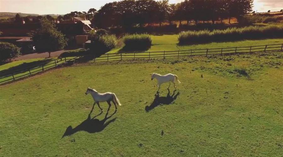 Ballinacurra House, Ballincurra