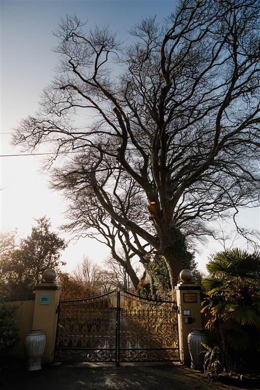 Ballinacurra House, Ballincurra