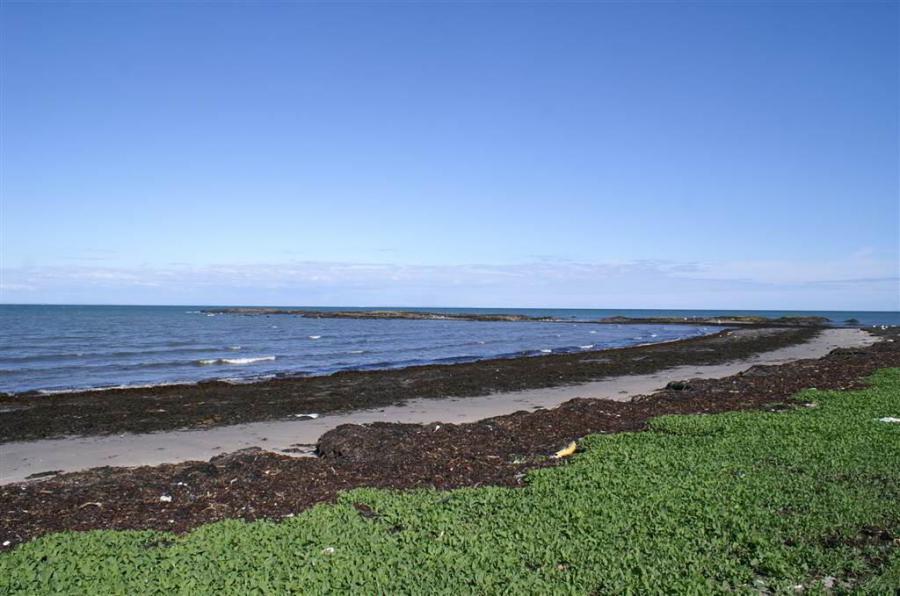 44-46 Ballywalter Road