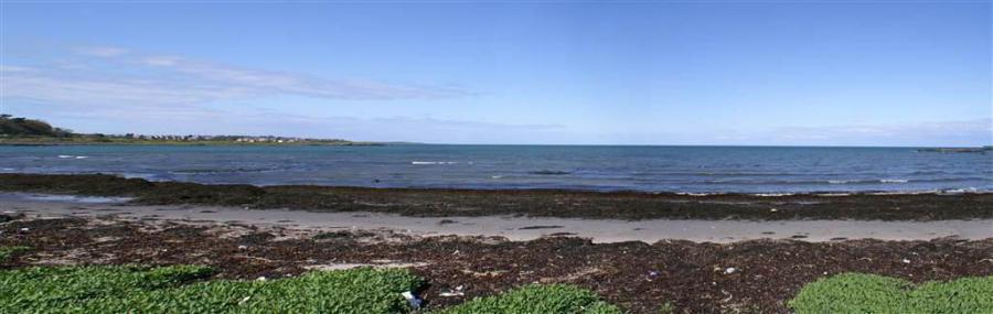 44-46 Ballywalter Road