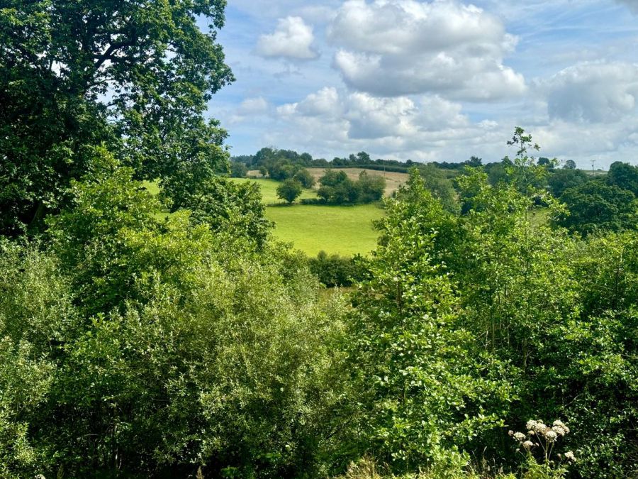 71 Lower Ballyartan Road