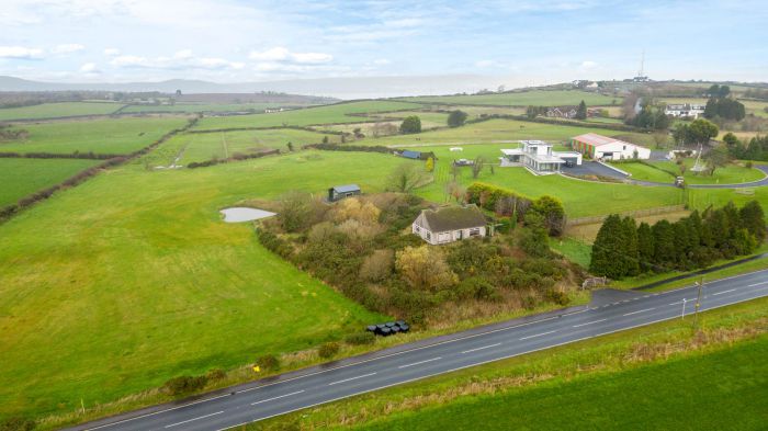 58 Ballymiscaw Road 58 Ballymiscaw Road