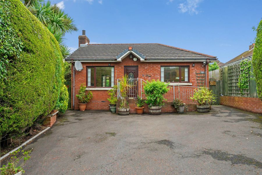 'Killops Rose', 32 Croft Road 'Killops Rose', 32 Croft Road