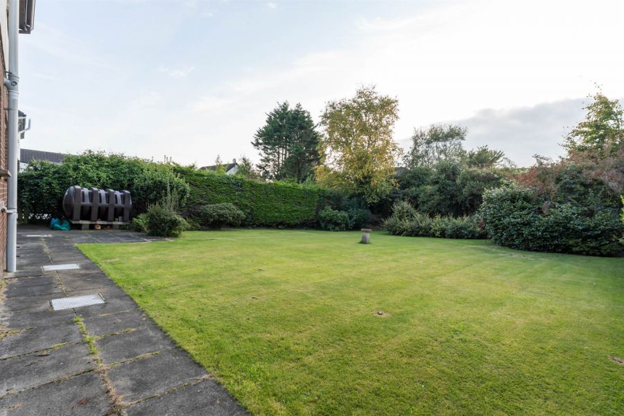 3 Hanover Chase