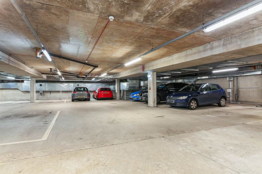 Apt 40 Ashley Courtyard