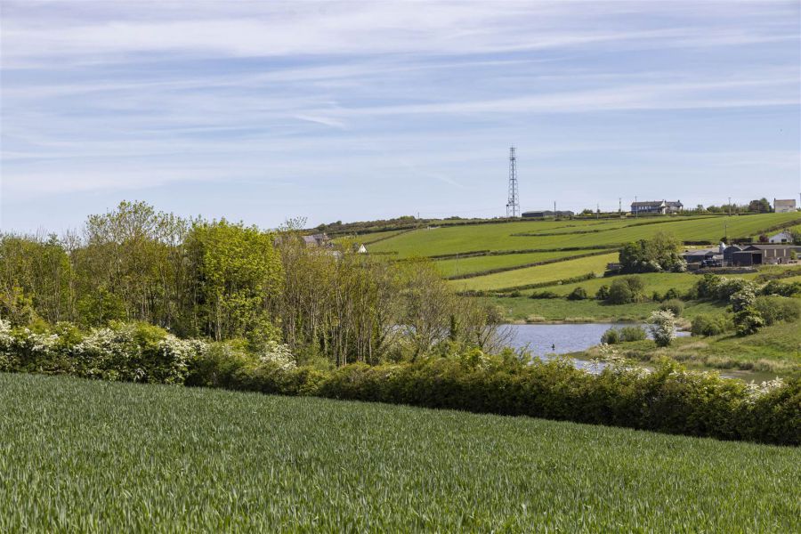 Lot 2 Prime Agricultural Land @ 42 Moss Road