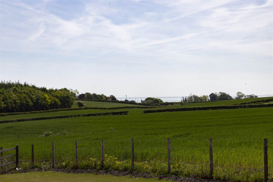 Lot 2 Prime Agricultural Land @ 42 Moss Road