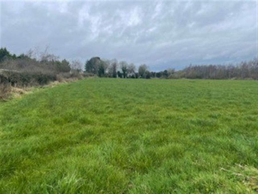 Site At Moneynick Road