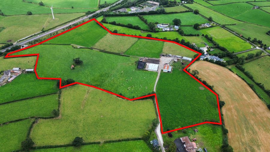 Prime Agricultural Holding (24.8 acres including yard) Aughrim Road