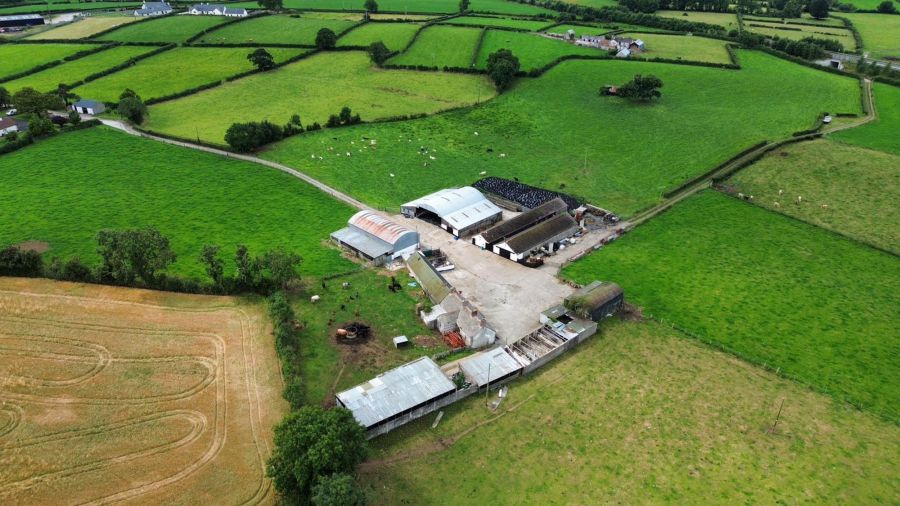 Prime Agricultural Holding (24.8 Acres Including Yard) Aughrim Road