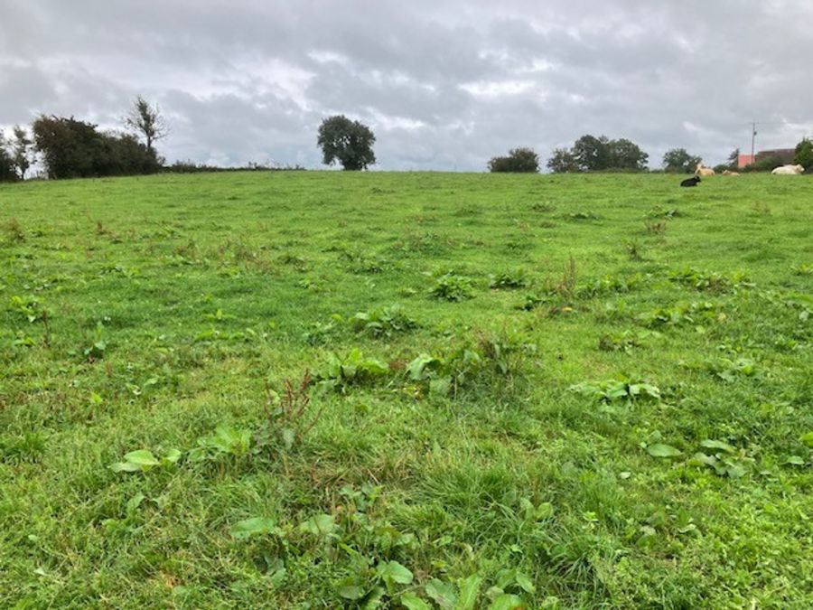 Prime Agricultural Holding (24.8 Acres Including Yard) Aughrim Road