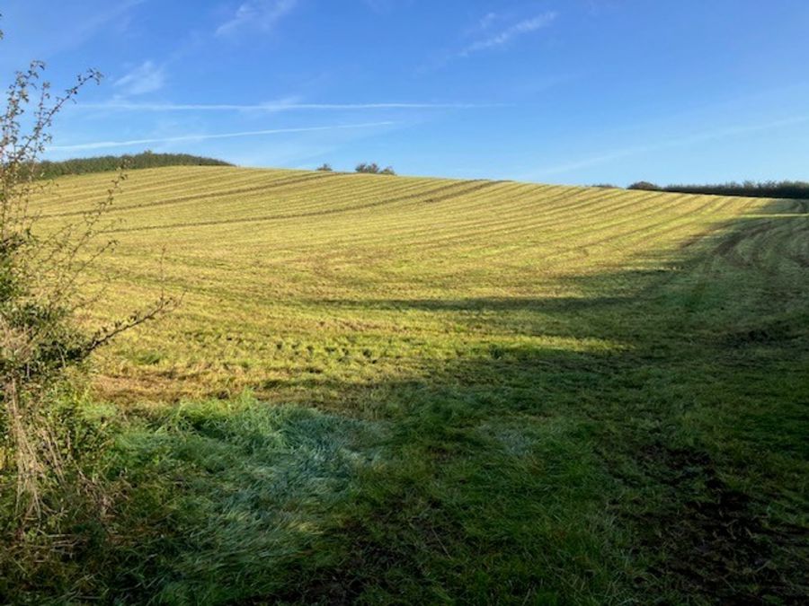 Land At Killyfaddy Road