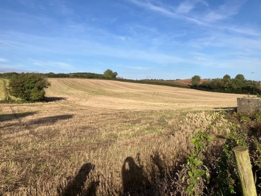 Land At Killyfaddy Road