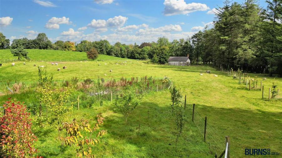 Millbrook, 31 Ardreagh Road