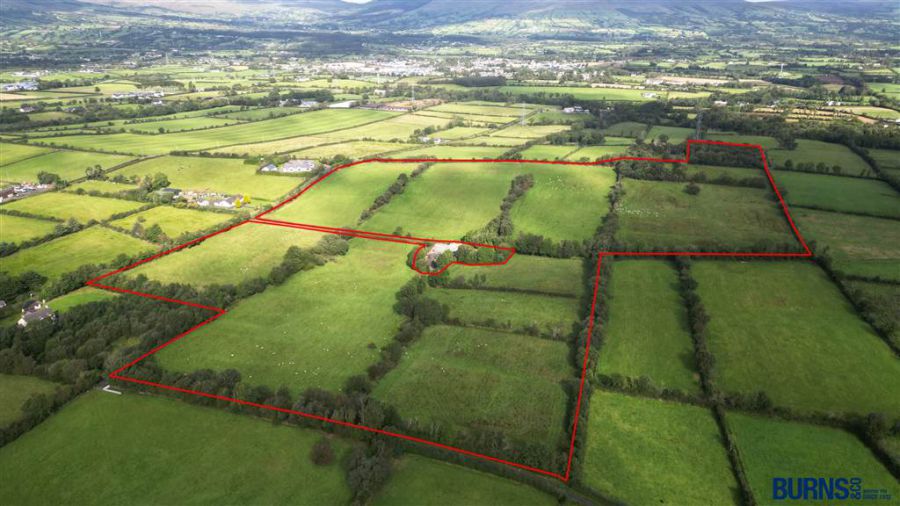 Lands Adjacent to 28 Drumard Road
