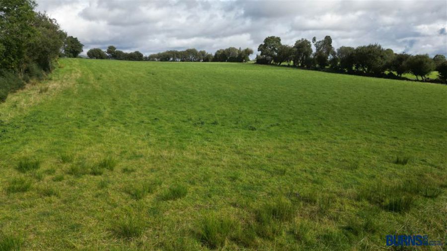 Lands Adjacent To 28 Drumard Road