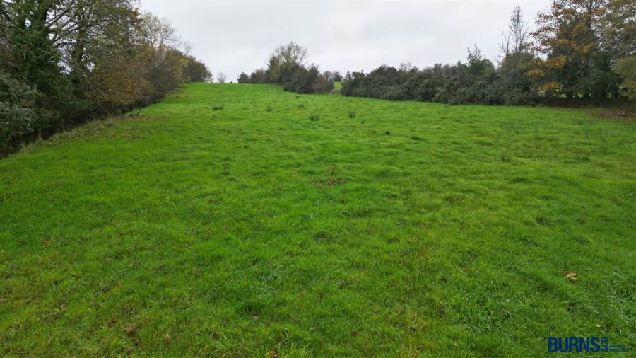 Lands At Fallylea Lane