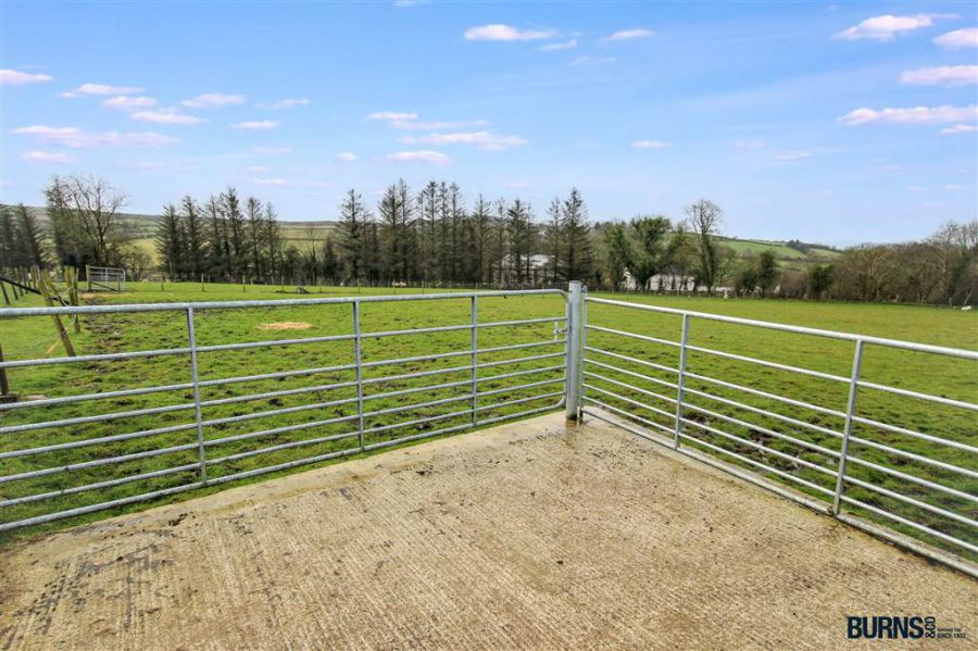 Lands And Site Adjacent To 574 Glenshane Road