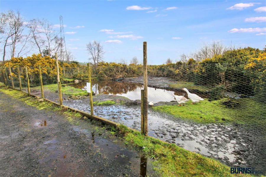 Lands And Site Adjacent To 574 Glenshane Road