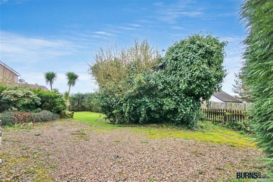 Cargan Cottage, 185 Glenravel Road