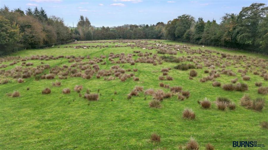 Lands Adjacent To 'Ballygawley House',  2 Brone Road