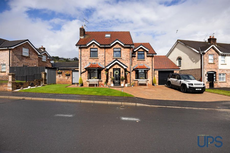 12 Mount Eagles Link