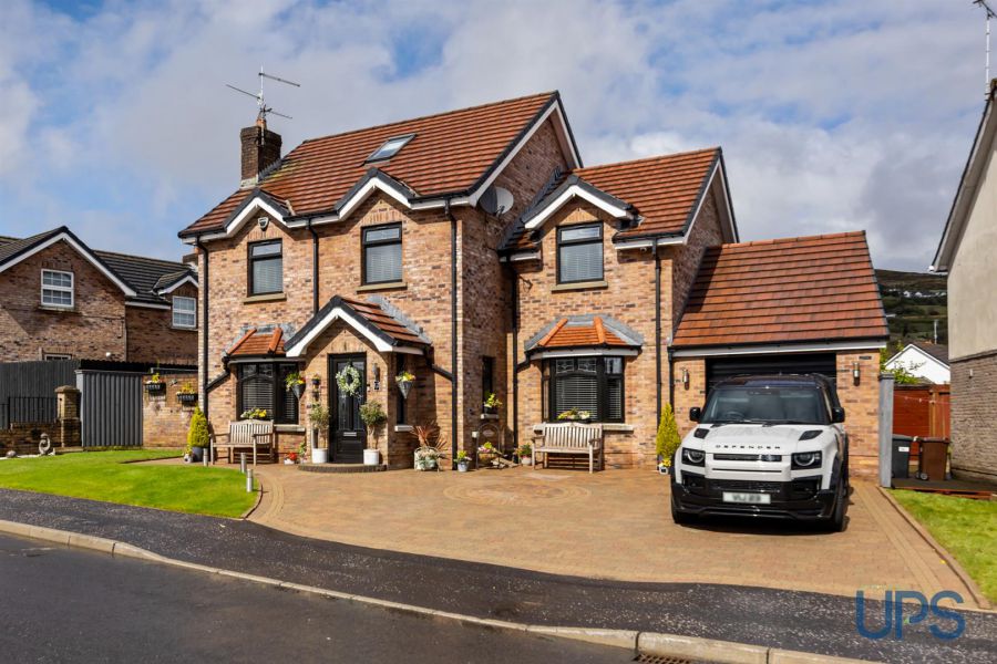 12 Mount Eagles Link