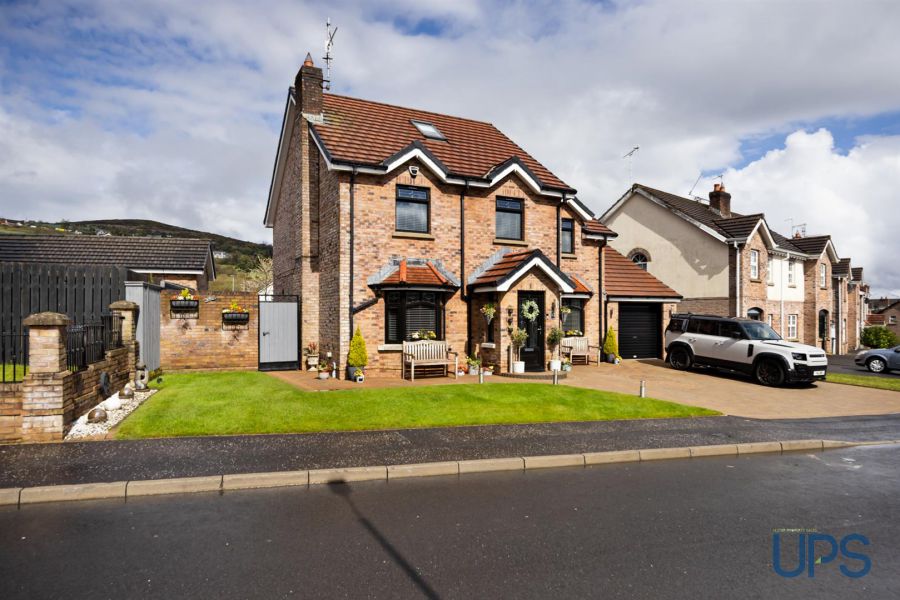 12 Mount Eagles Link