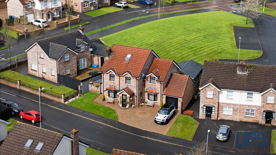 12 Mount Eagles Link