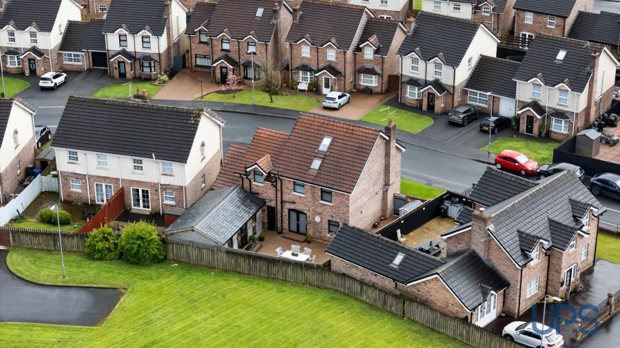 12 Mount Eagles Link