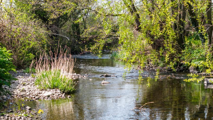 31 Nutts Corner Road