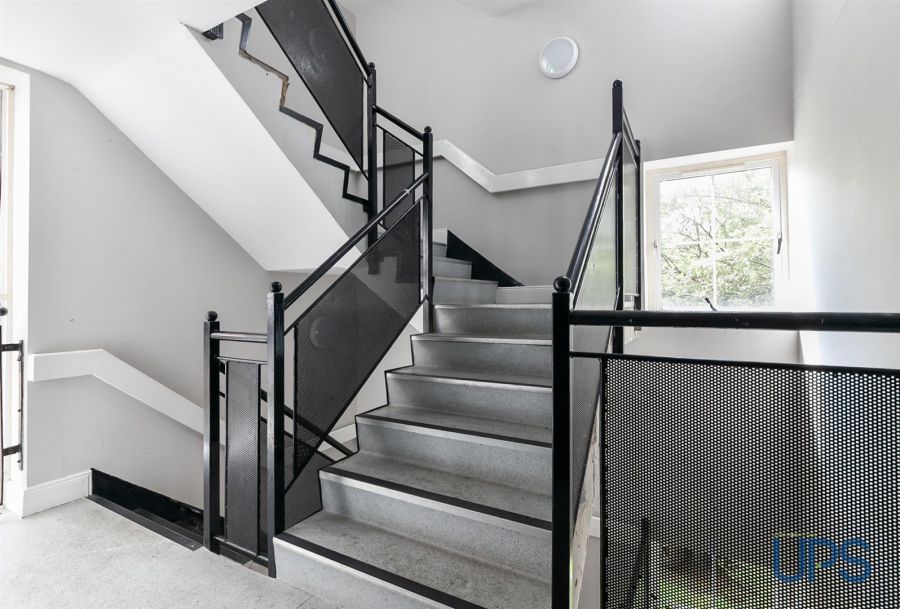Apt 25 San Antone