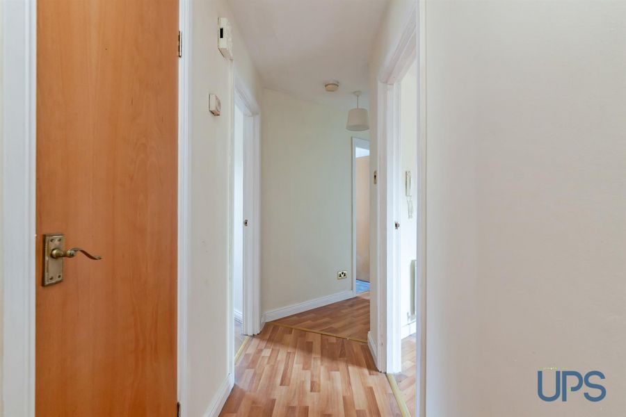 Apt 25 San Antone
