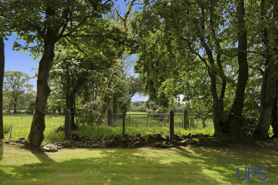 31 Quarterland Road
