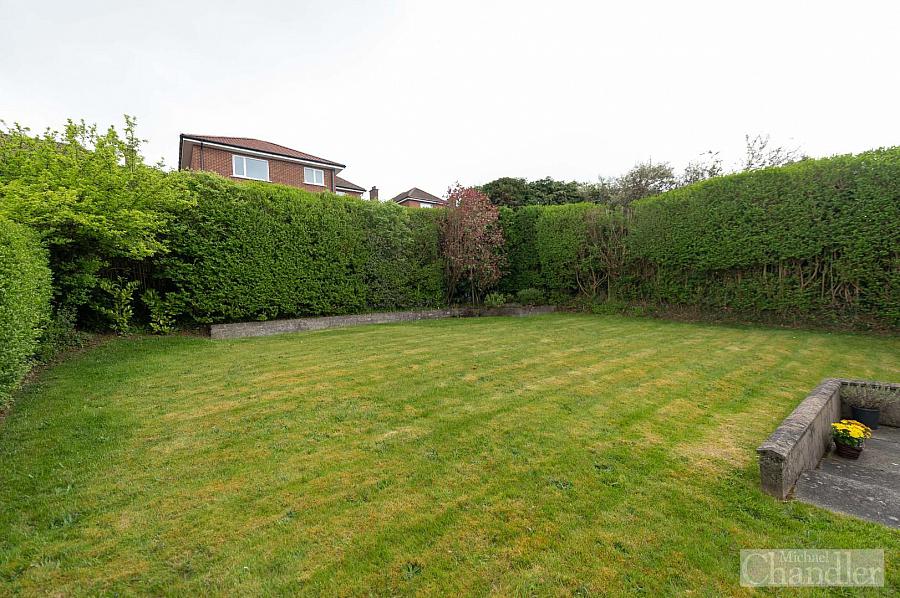 250 Saintfield Road