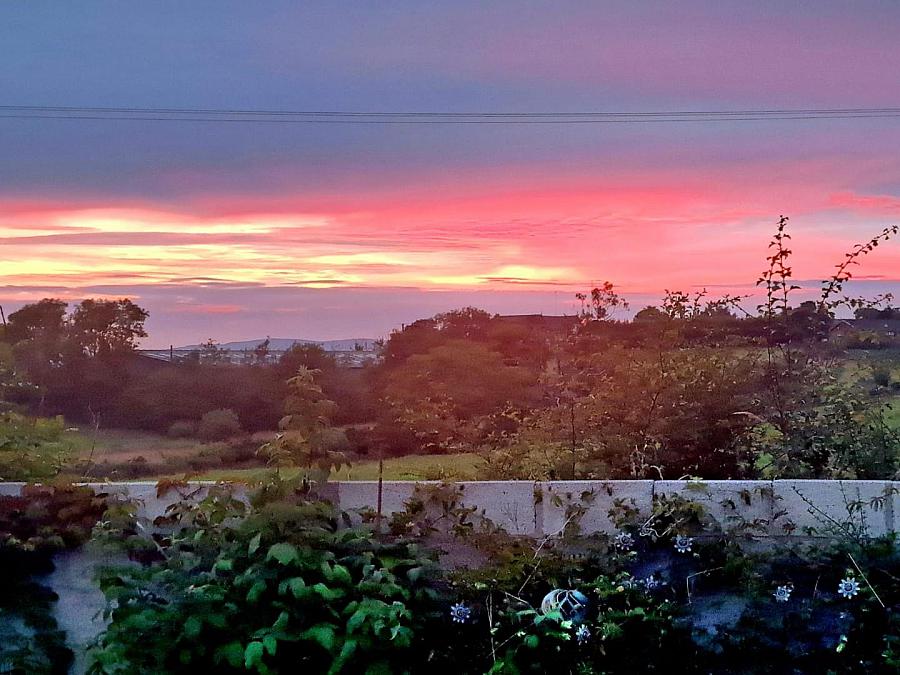 82A Manse Road 82A Manse Road