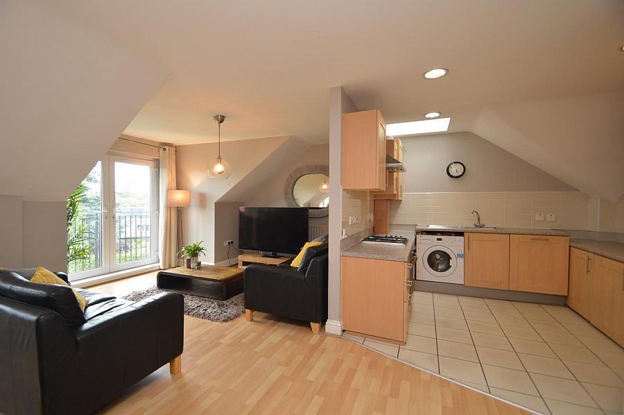 Apt 30 Grafton Court