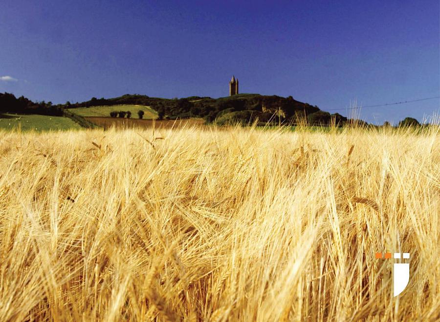 The Beatty, Site 473 Enler Village